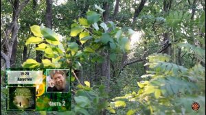 «НЕСВЯТЫЕ СВЯТЫЕ». Часть 2. 19-20. Августин.
