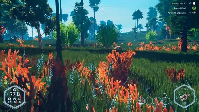 PLANET NOMADS - A BEGINNERS GUIDE - How to Get Started, Tips! смотреть онлайн