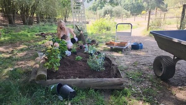 Dainty Rascal Dancing Gardens at Heart of Gold Sanctuary