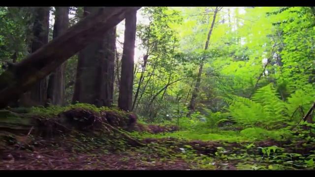 Резюме на должность мужа - Часть 1 смотреть онлайн