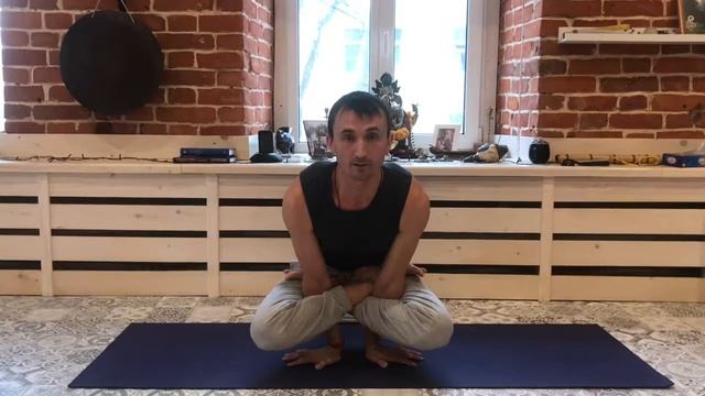 Куккутасана(поза петуха) хатха Йога смотреть онлайн