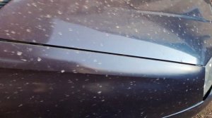 Крылья передние пластиковые Лада Калина 1 показываю что стало с крыльями после 2х лет эксплуатации