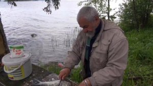 Рыбалка на Онежском озере. Лещ на отводной поводок. Прекрасное путешествие.