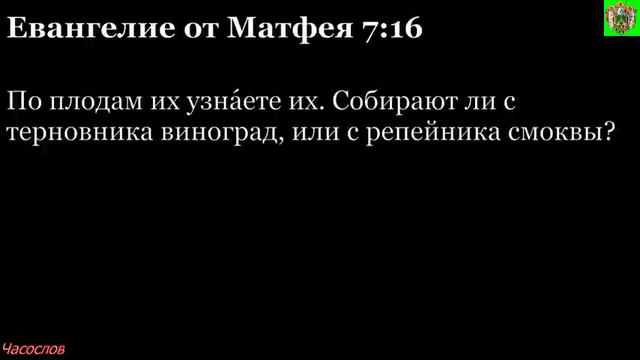 Аудиокнига. Библия. Новый Завет. ЕВАНГЕЛИЕ ОТ МАТФЕЯ. Глава 7 смотреть онлайн