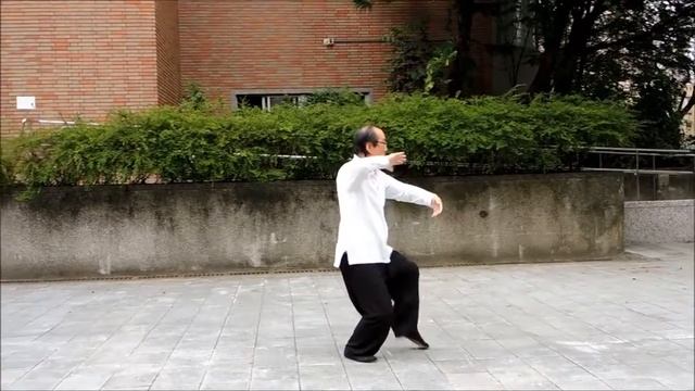 Taiji Chuan - 37 Form