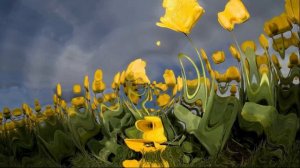 ВИДЕОФОН ДЛЯ ВИДЕОМОНТАЖА