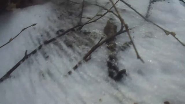 Строю домик в лесу! Готовлю вкусный суп с мясом! House In The Woods.