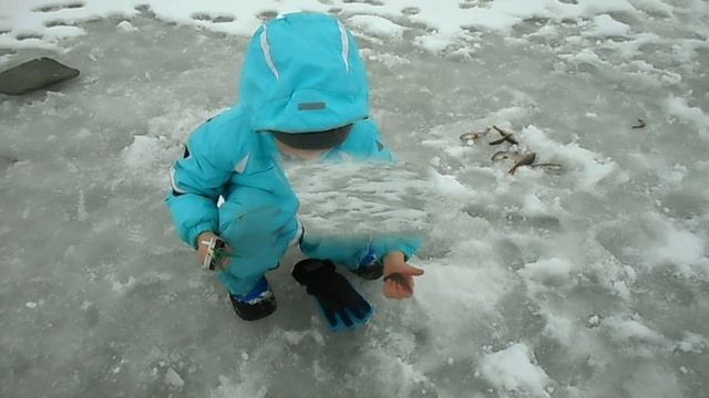 Рыболовы на Природе