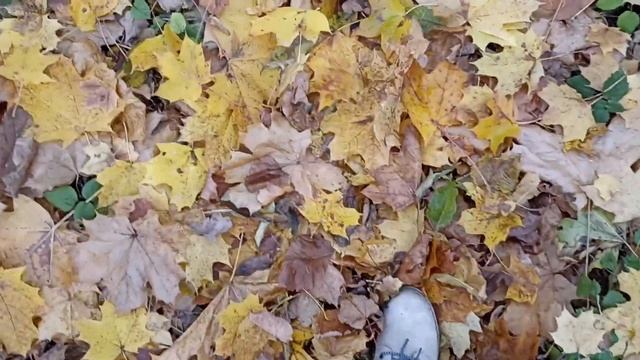 Песня "Листопад" смотреть онлайн