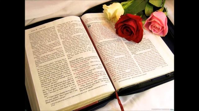 Премудрости Иисуса, сына Сирахова ГЛАВА 21 смотреть онлайн