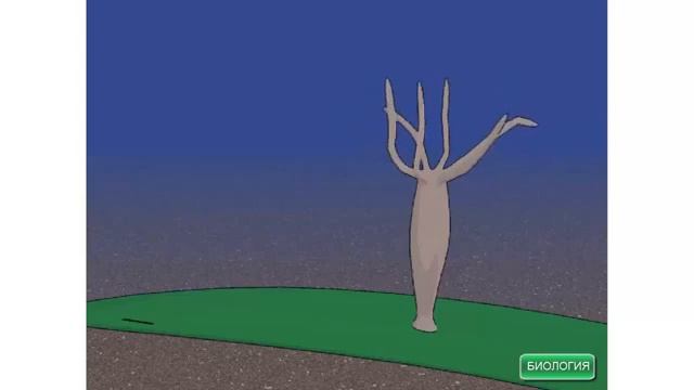 Пресноводная гидра Нервная система смотреть онлайн