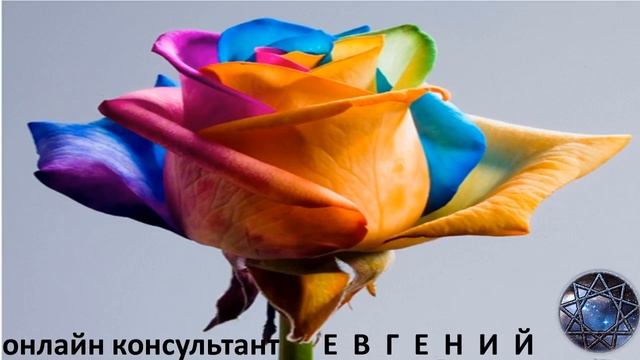 Астропрогноз методом ФОРМУЛЫ ДУШИ на сегодня пятницу, 10 ноября, от Евгения смотреть онлайн