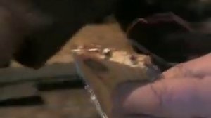 Обогреватель для улея