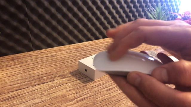 Un rein = Une souris - Magic Mouse Apple смотреть онлайн