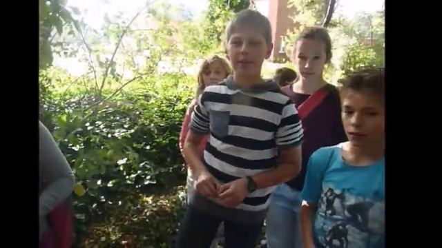 Mijn film het griezelbos смотреть онлайн