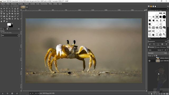 CURSO DE GIMP #01 - COMO IMPORTAR, MOVIMENTAR E REDIMENSIONAR IMAGENS смотреть онлайн