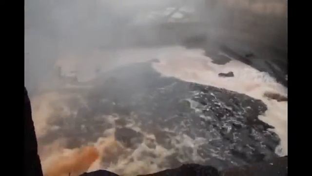 Manufactura de pipas de brezo en Los alcornocales смотреть онлайн