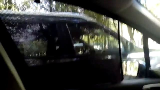 Автошторки TROKOT отзыв. смотреть онлайн