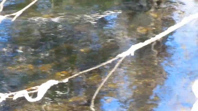 релакс музыка и видео для релаксации весна начало