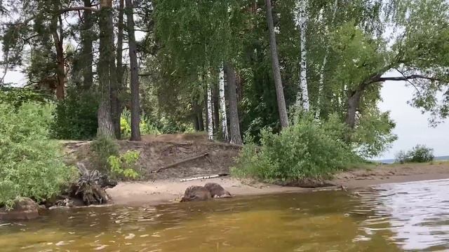 Жизнь на даче: Делаю домашнюю приправу. Съездили в красивые места. смотреть онлайн