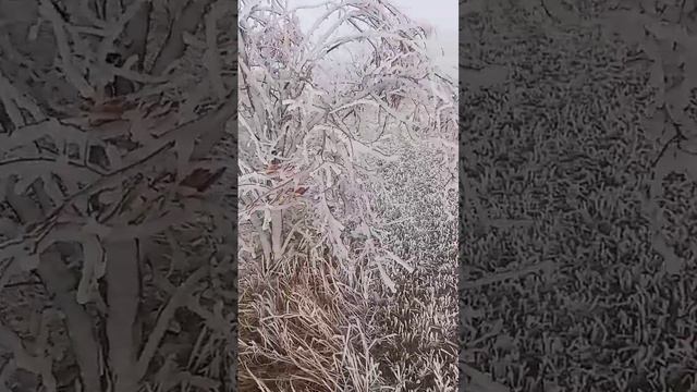 17 декабря 2023 г. (1).mp4 смотреть онлайн