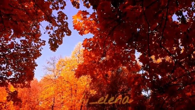 Осенняя дорога. Стихи. Елена Немоляева. смотреть онлайн