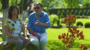 10 лучших листопадных рододендронов для северных регионов