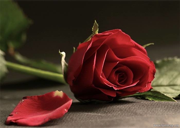 БУФФОНАДА.mp4