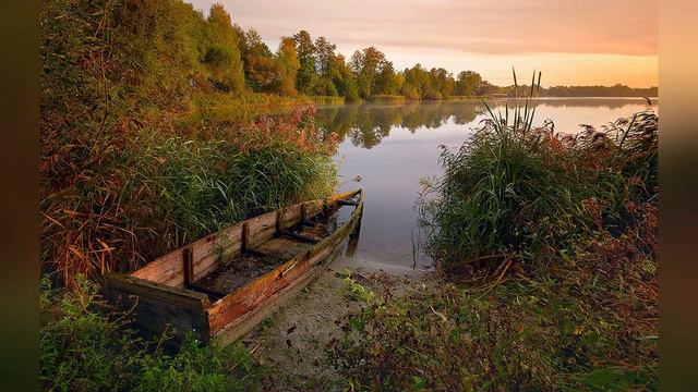 Там , где клен шумит . смотреть онлайн