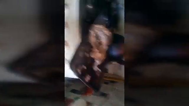 Шашлыки/что и требовалось доказать смотреть онлайн