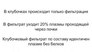 Почечный клубочек и капсула Боумена (почки 2)