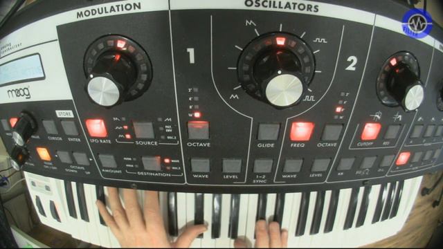 Moog Slim Phatty Sounds смотреть онлайн