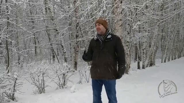 Мареммо-абруцкая овчарка. Григорий Манев. Интервью. смотреть онлайн
