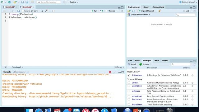 Setup RSelenium смотреть онлайн