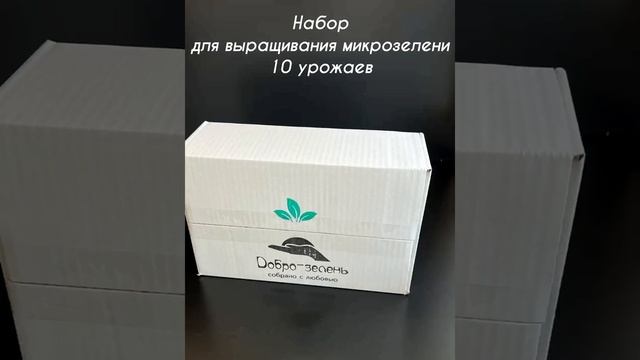 набор для выращивания микрозелени. Добро-зелень смотреть онлайн