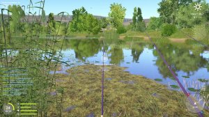 Русская Рыбалка 4 ( р.Сура) Неплохой клев на мах