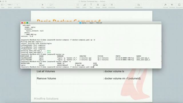Docker Compose смотреть онлайн