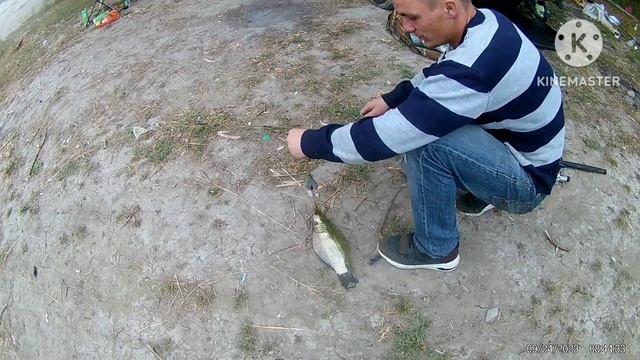 Рыбалка на реке Днестр Рыбалка с ночёвкой ,Днестр ПМР.Рыбалка в ПМР. смотреть онлайн