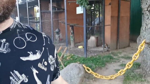 Ф.5 Ой! Смотрите, что висит!!! смотреть онлайн