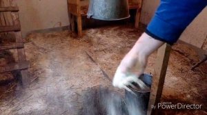 Засыпаем бактерии для несменяемой подстилки для кур// бактерии Скотный двор