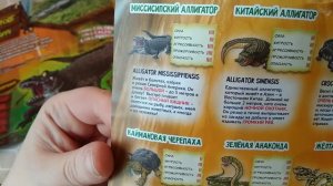 Обзор и распаковка: Болотные монстры & ко от Deagostini. #1