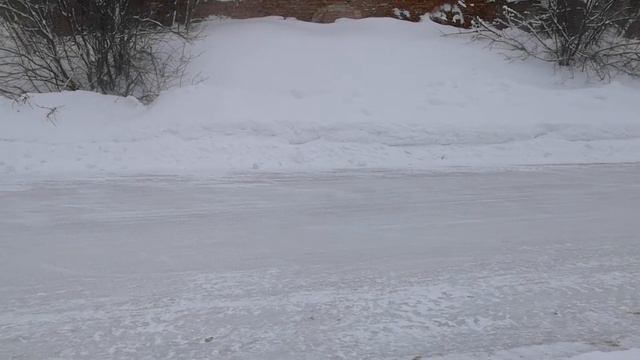 Финал Чемпионата Удмуртии по трековым автогонкам 23 февраля 2019. смотреть онлайн