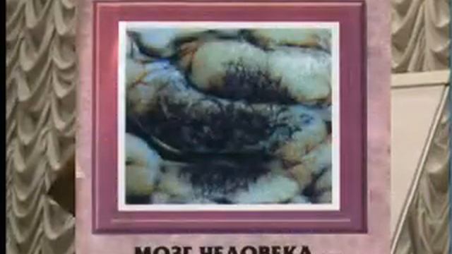 Официальный канал сайта | Арт Лайф (Art life) смотреть онлайн