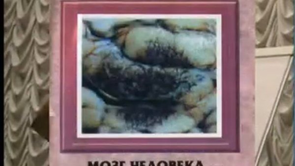 Официальный канал сайта | Арт Лайф (Art life)