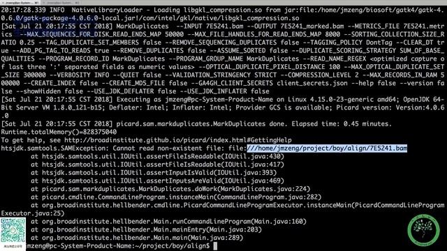 wes 8 GATK4流程之标记PCR重复reads смотреть онлайн
