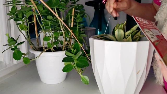 ДОЧЕ 16! КОЛЛЕКЦИЯ ЦВЕТОВ. Видеодневник #4 смотреть онлайн