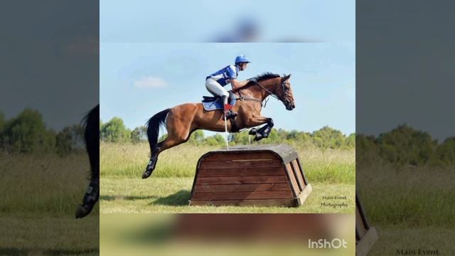 Виды конного спорта???Виды конного спорта??? смотреть онлайн