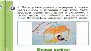 Окружающий мир. Рабочая тетрадь 1 класс 1 часть. ГДЗ стр. 54 №4