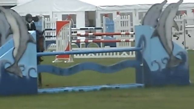 Eranthis Hyemalis Champ Belgique scolaires - Brugges juillet 2012.MPG смотреть онлайн