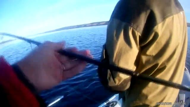 Трудовая рыбалка на Саратовском водохранилище! Сентябрь 2017. смотреть онлайн